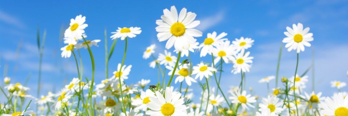 itsfryay's profile banner image