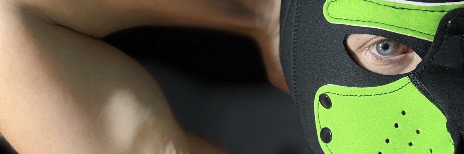 Unnamed Puppy banner