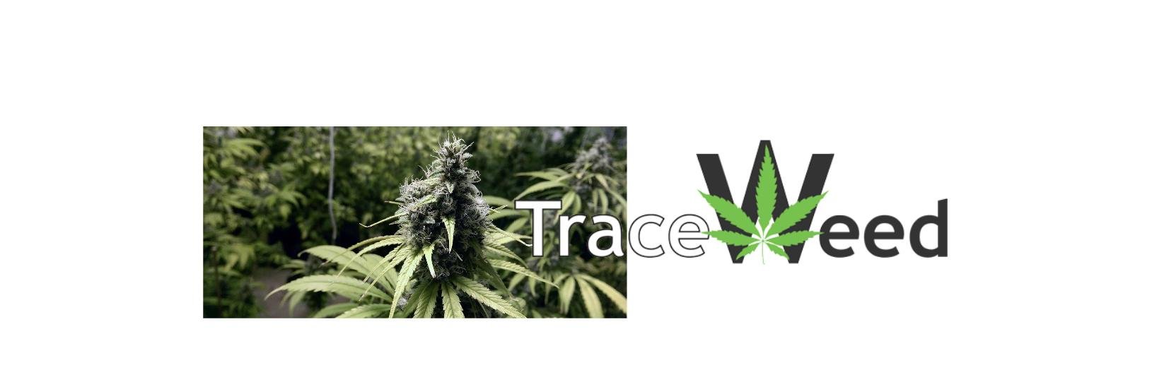 Trace_Weed's profile banner image