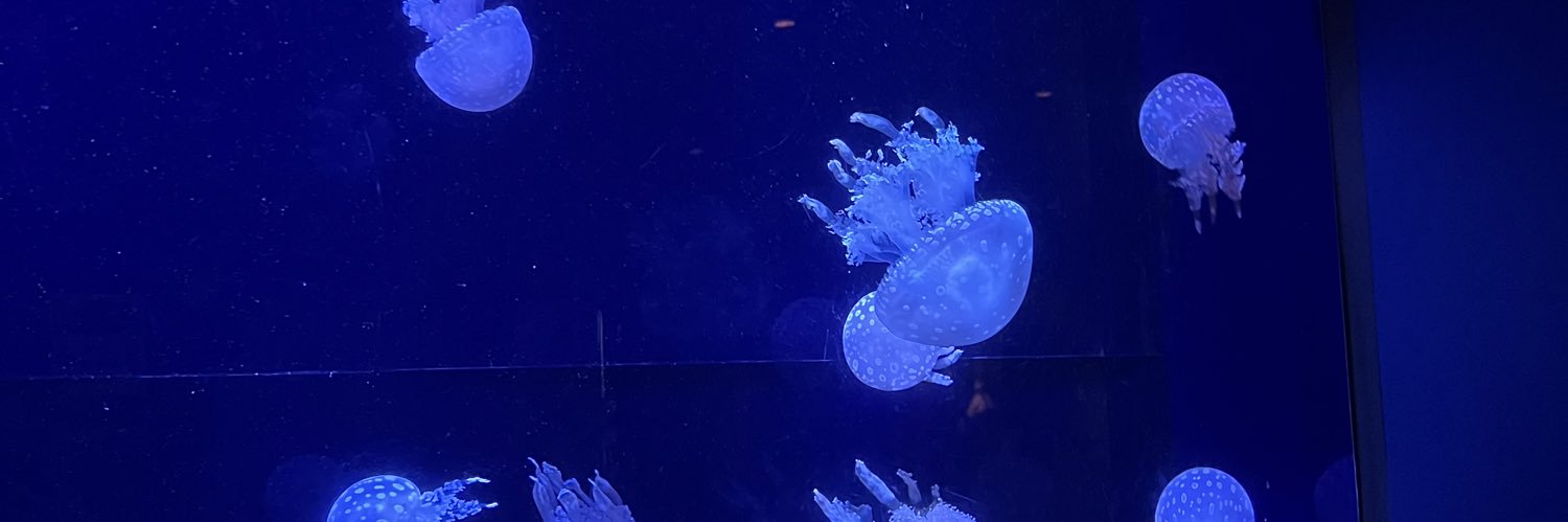 kmkmow's profile banner image