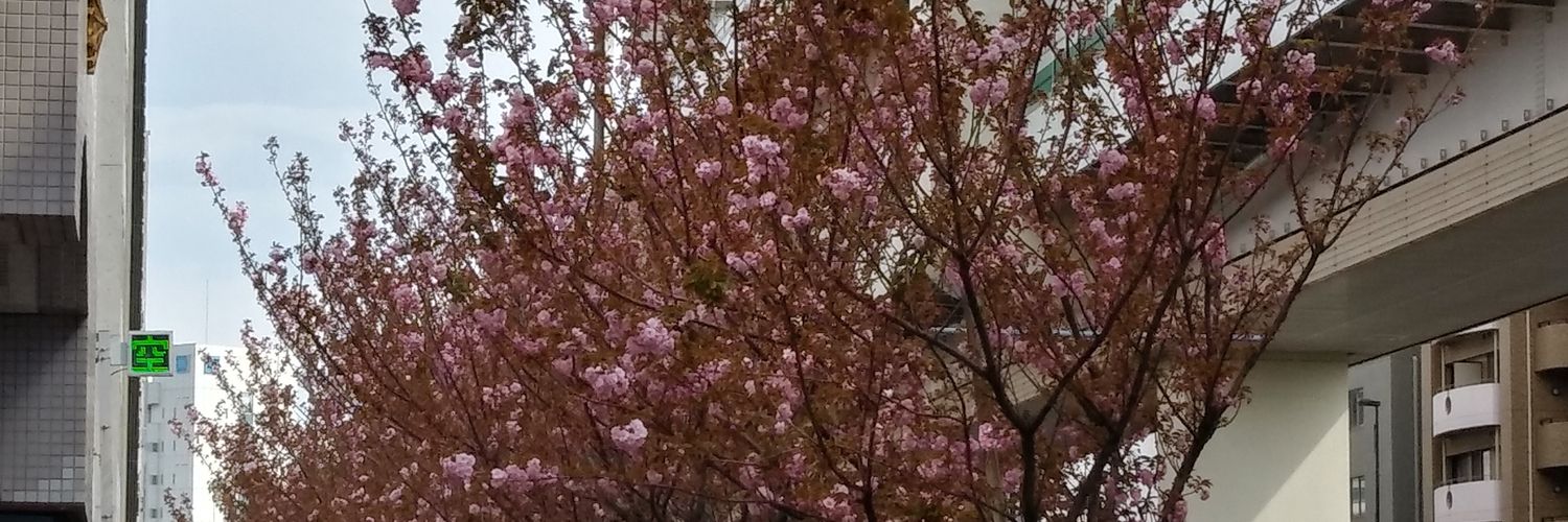 takaHCOOH's profile banner image