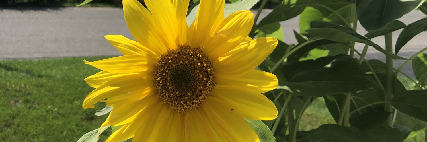 heathergh12's profile banner image