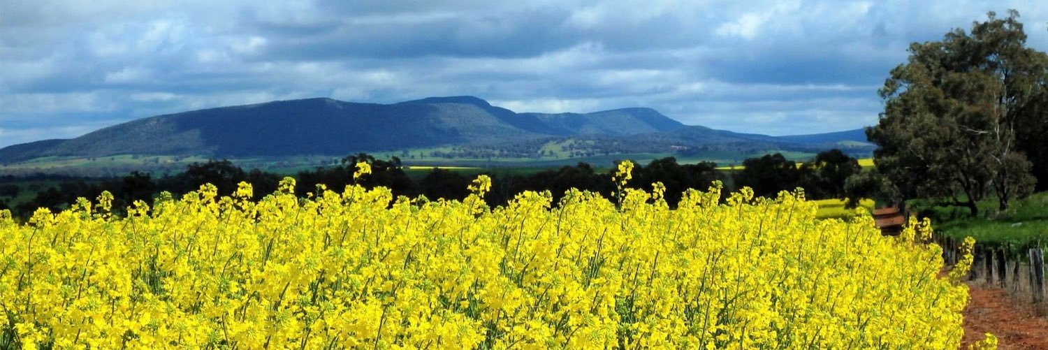 Stuart Hancock banner