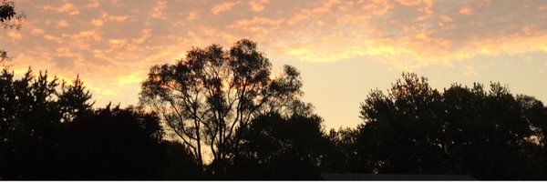 GoodBeards Profile Banner