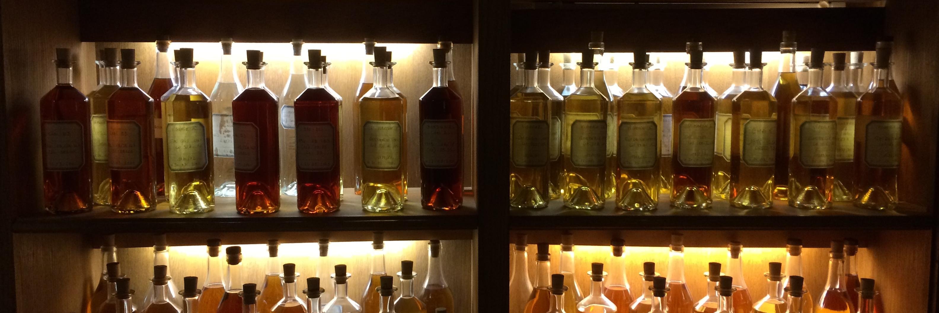 WilliamsBevLLC's profile banner image