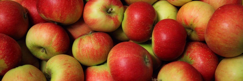 Orchard_World's profile banner image