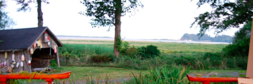 Ed_Reese's profile banner image