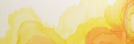 avaaamarieee's profile banner image