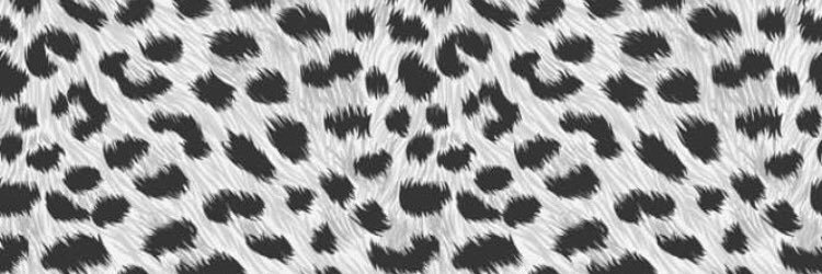 Mariaxox0's profile banner image