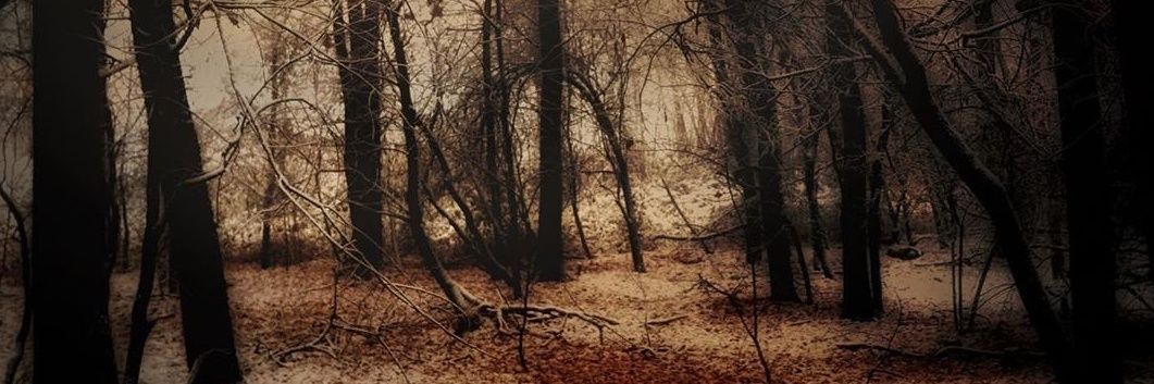 saintwormwood's profile banner image