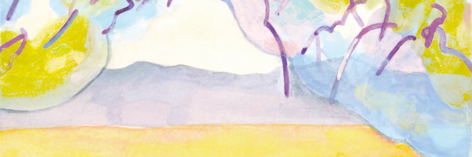 shk_chan's profile banner image
