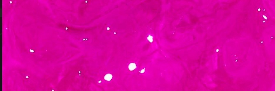 Cato___trending's profile banner image