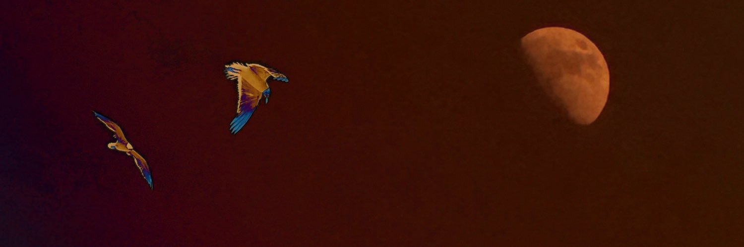 AbrilGarza_'s profile banner image