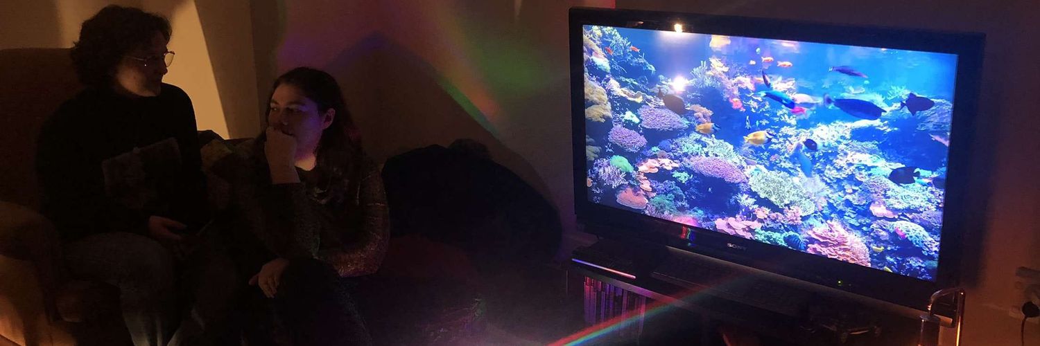olivekates's profile banner image