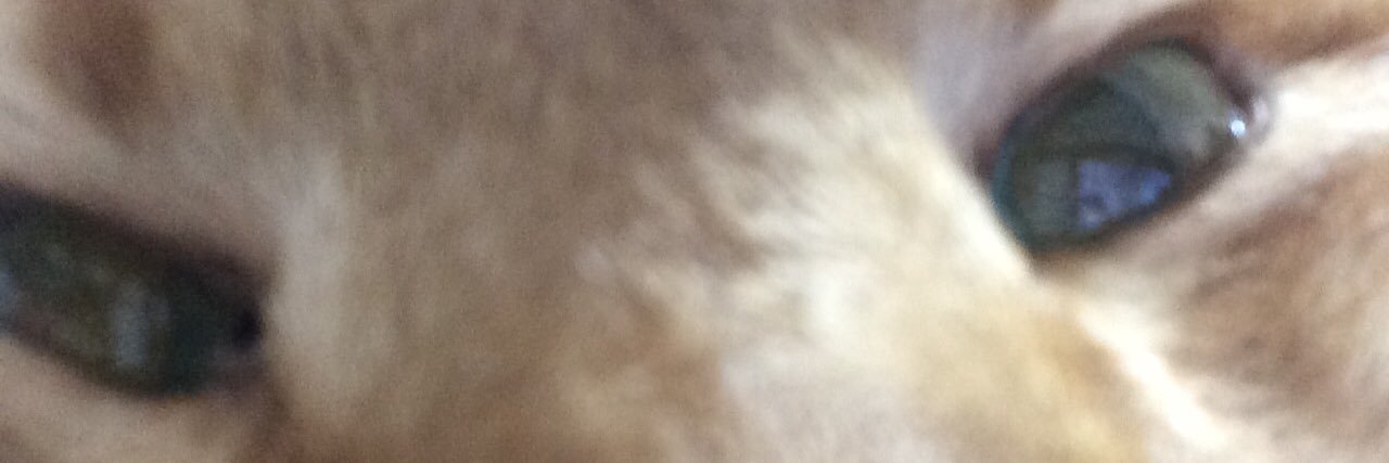 dwtytrcfdsh's profile banner image