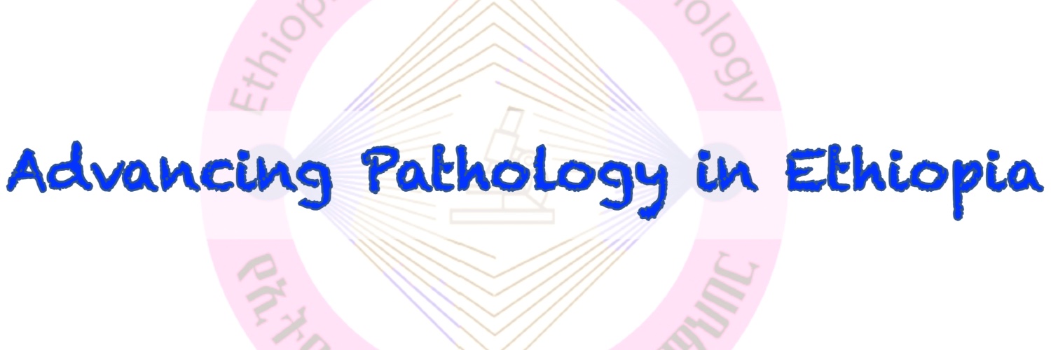 Mele_path's profile banner image