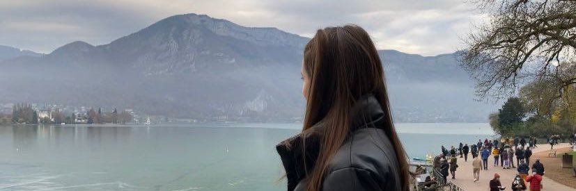 LeGaIIois's profile banner image
