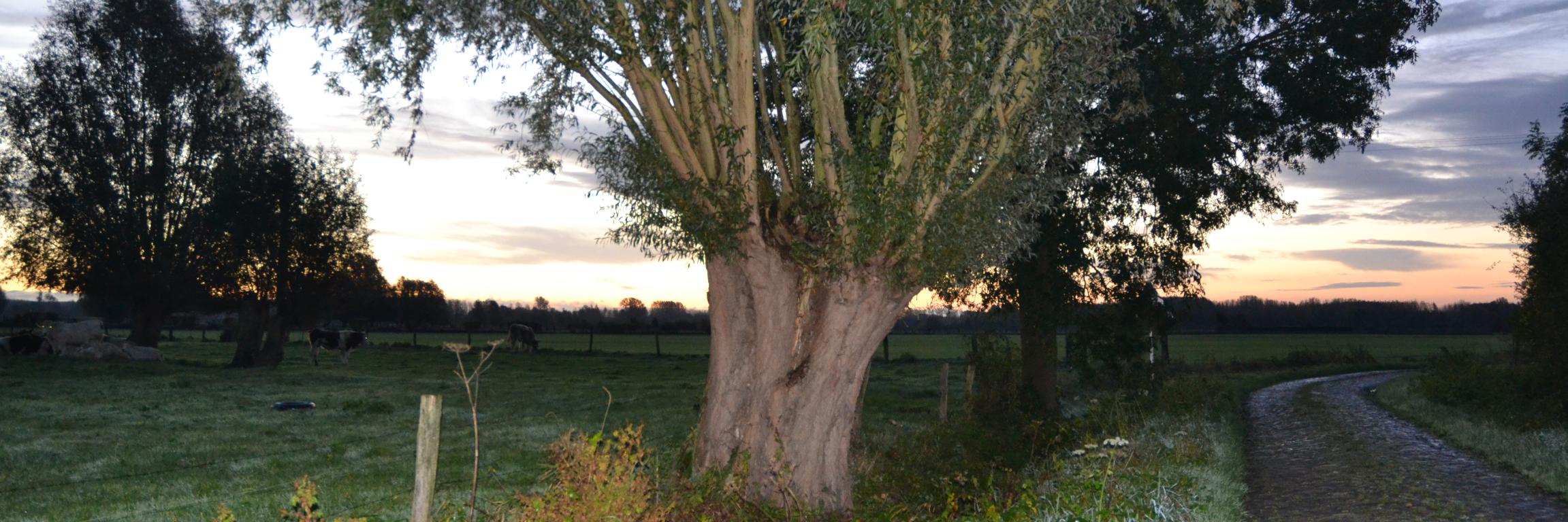 Stéphanie Parisi Bot banner