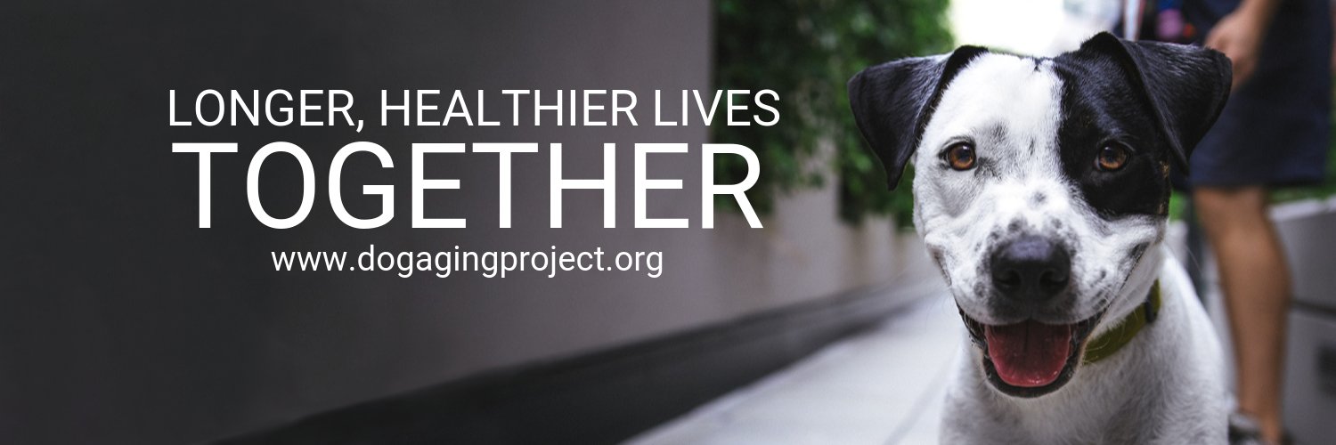 Dog Aging Project's banner