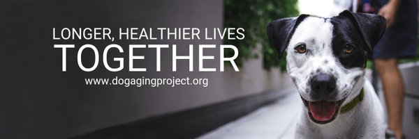 DogAgingProject Profile Banner