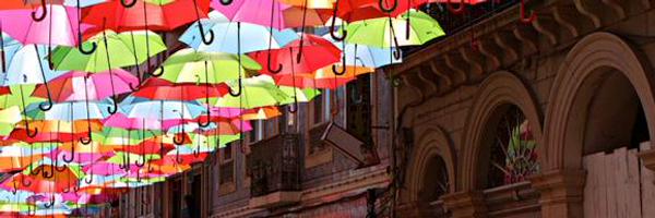 anujajaitly Profile Banner