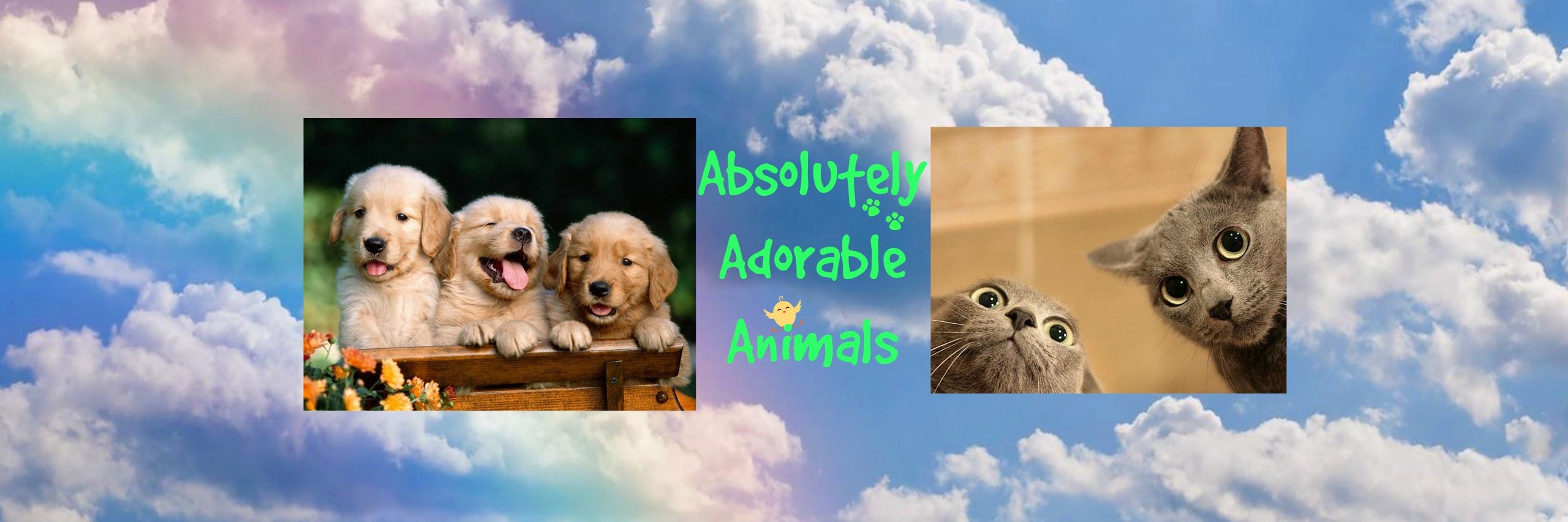 THEAnimalLover7's profile banner image