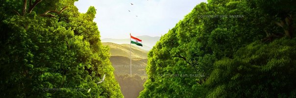NetworksRishabh's profile banner image