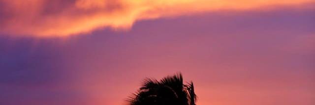 xiuhnelII's profile banner image