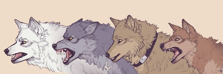 Alba_1124's profile banner image