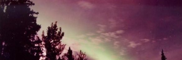 めいか banner