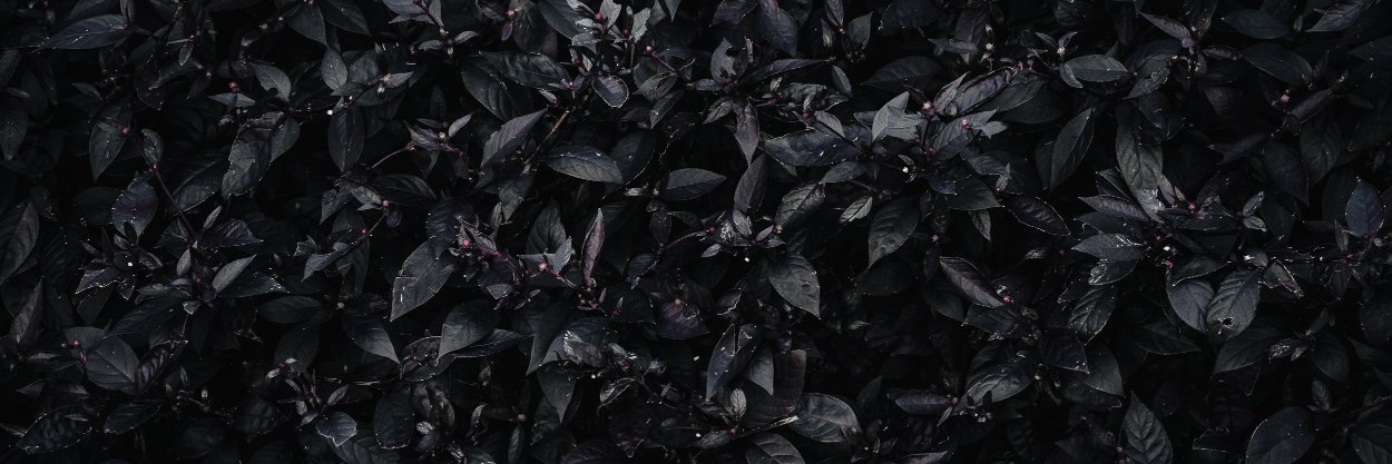 emberbeats's profile banner image