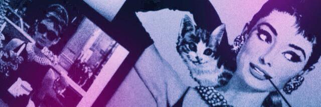 macharin88's profile banner image
