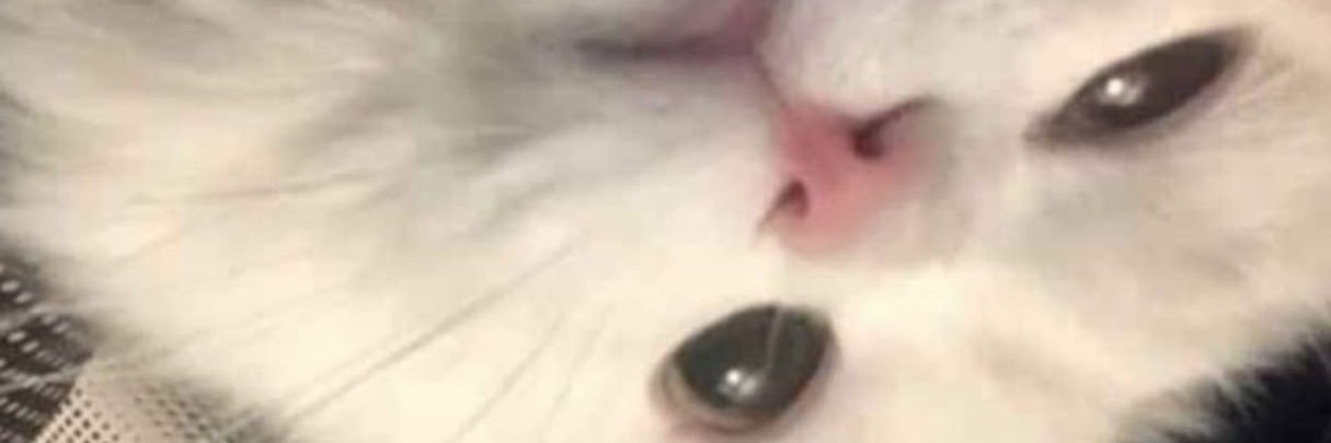 clippoor's profile banner image
