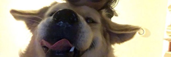 MONlCAT Profile Banner