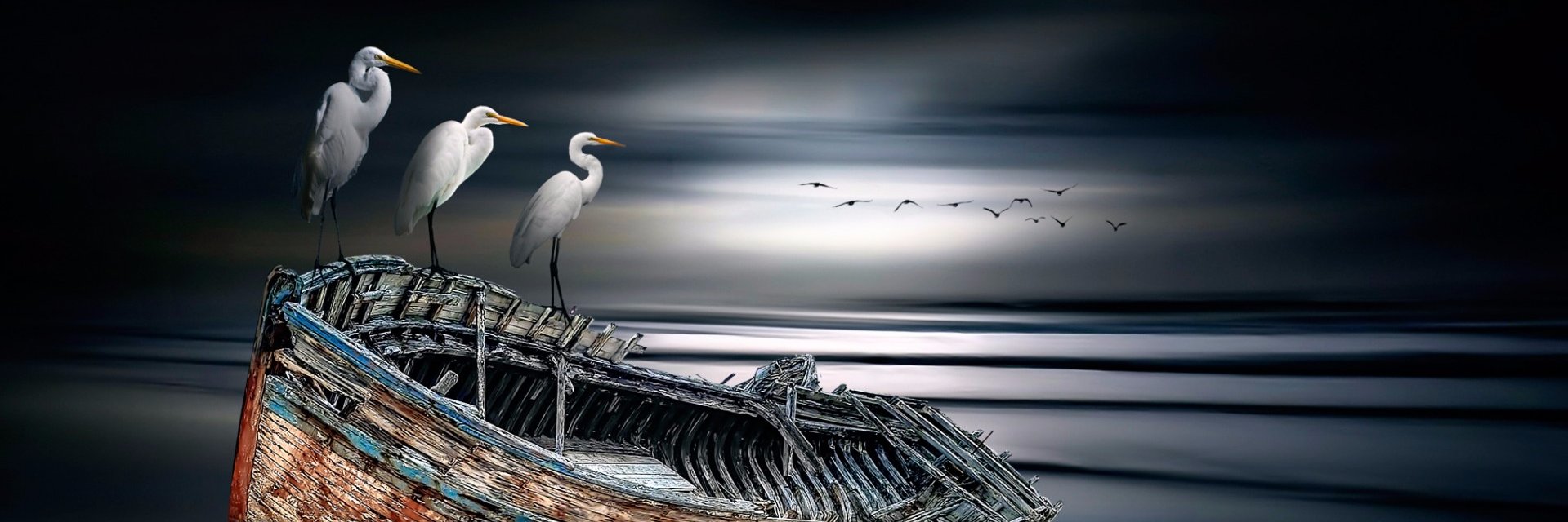 toor73's profile banner image