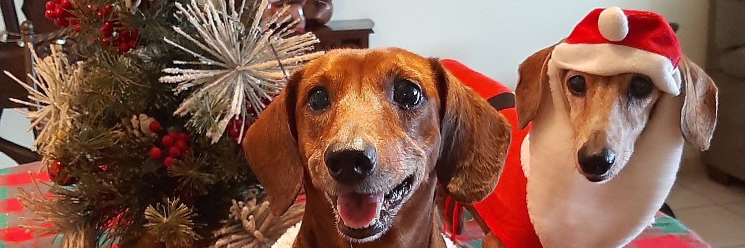 mayitajacome's profile banner image