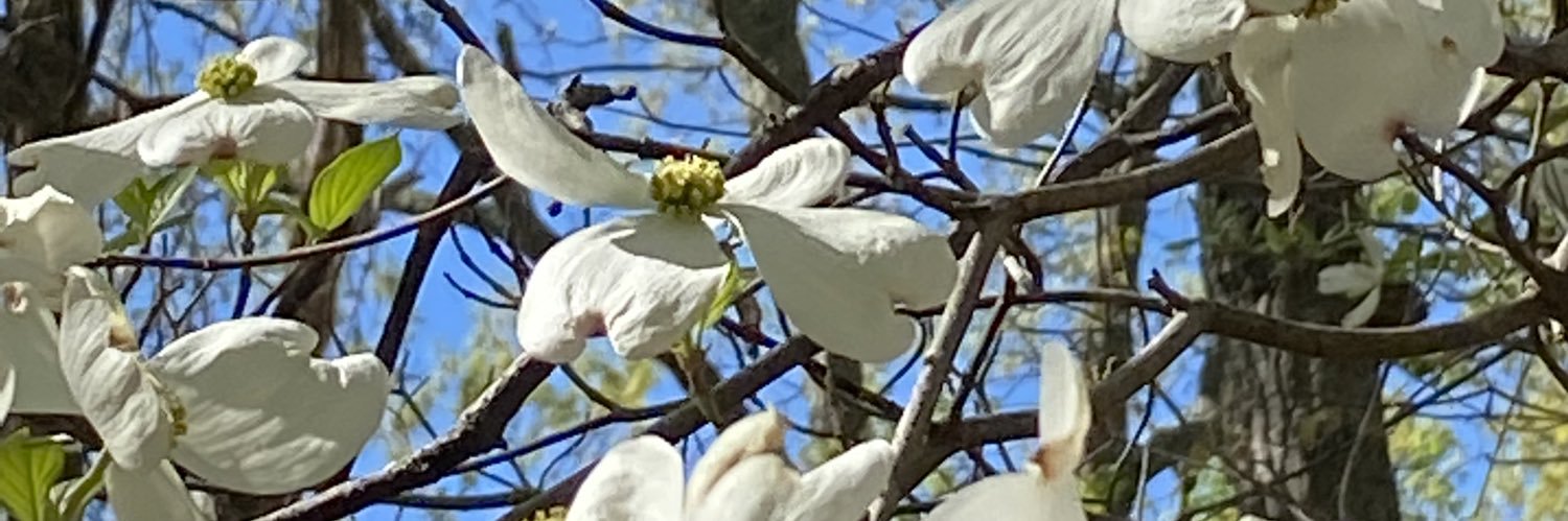 cwaldrup3's profile banner image