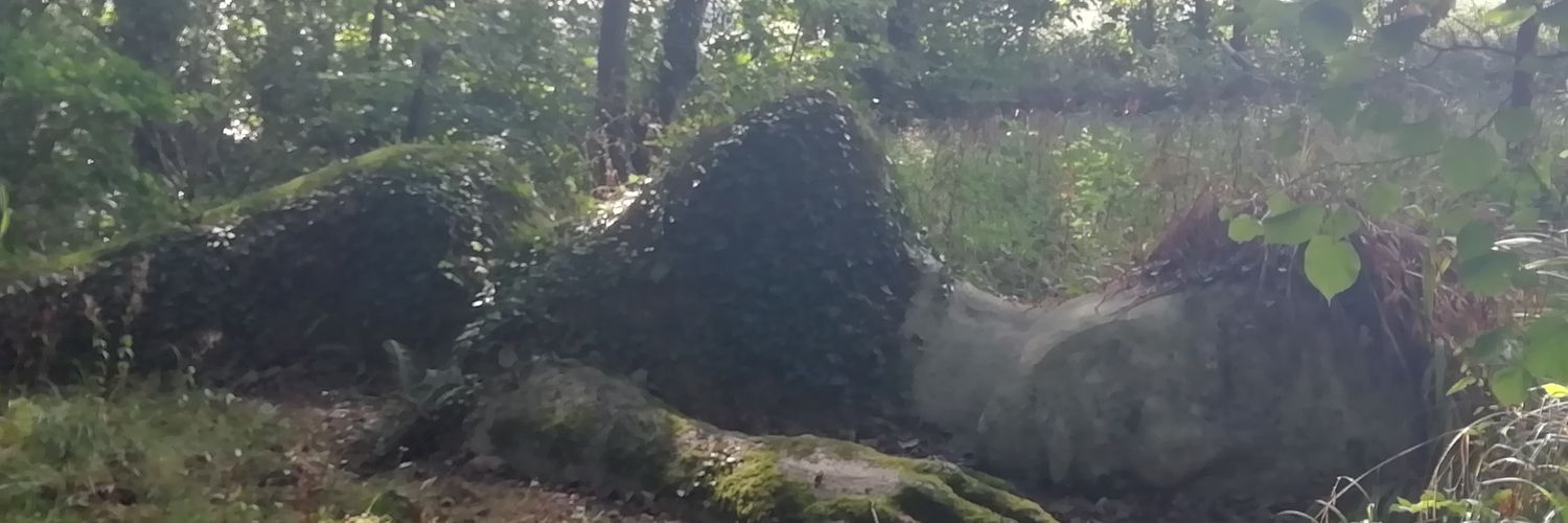 Rita Griffin 💚 💙🥀 banner