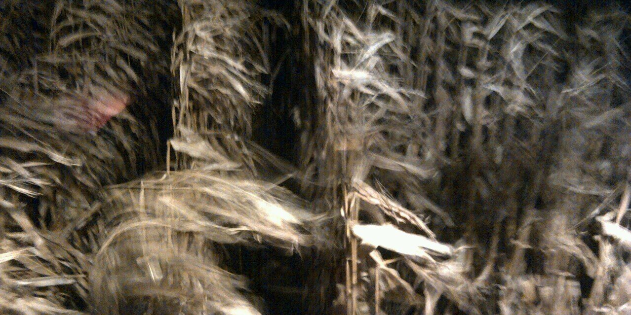 Joel D Johnson banner