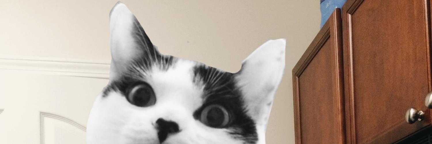 thepinkFOG's profile banner image