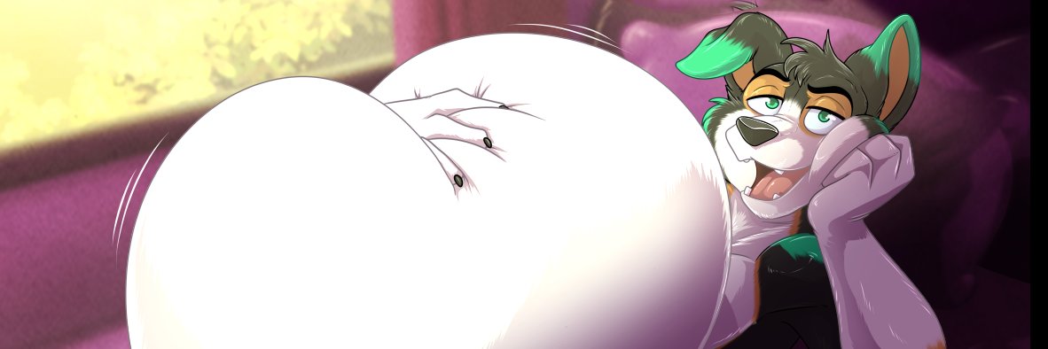 BellyCollie's profile banner image