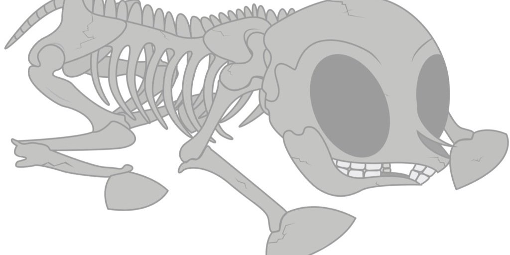 MLP_Bonez's profile banner image