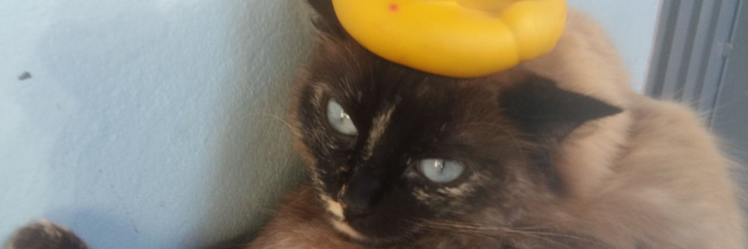 peixefroto's profile banner image