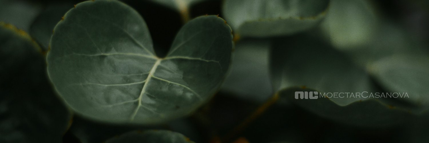 samplepictures's profile banner image
