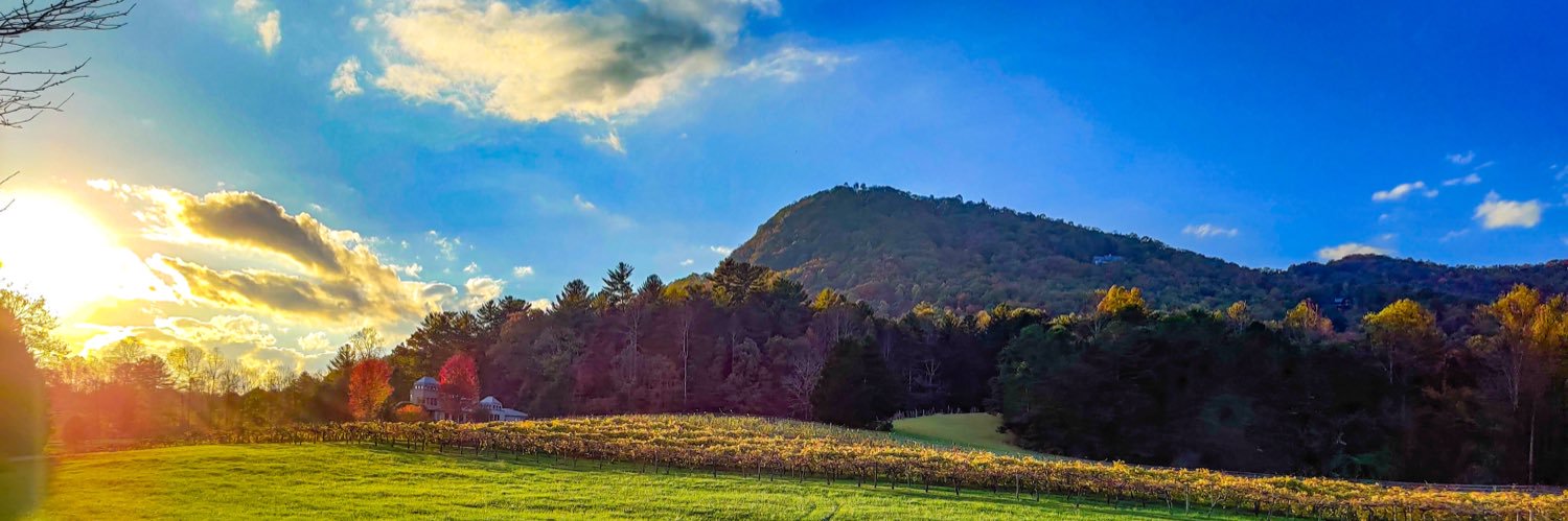 TMVgeorgia's profile banner image