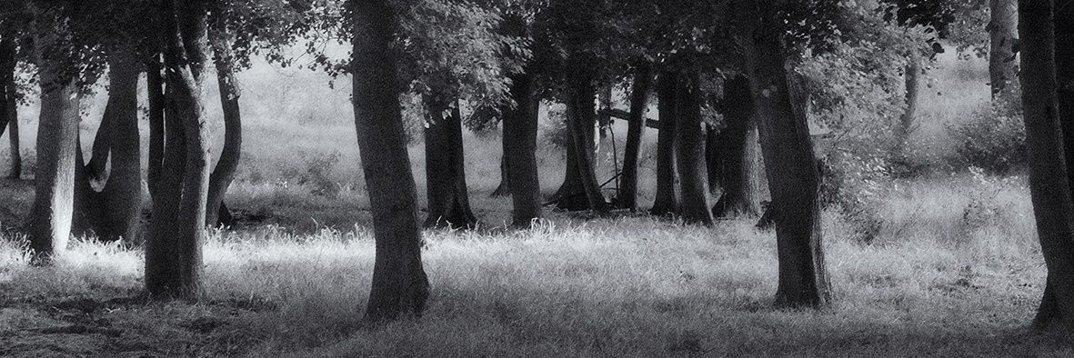 Chris Snelling. banner