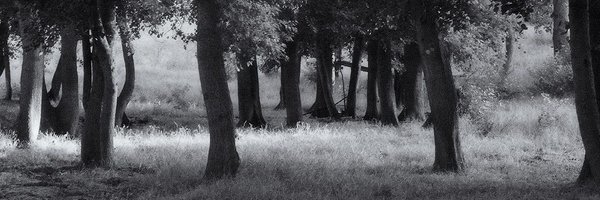 capemanchris Profile Banner