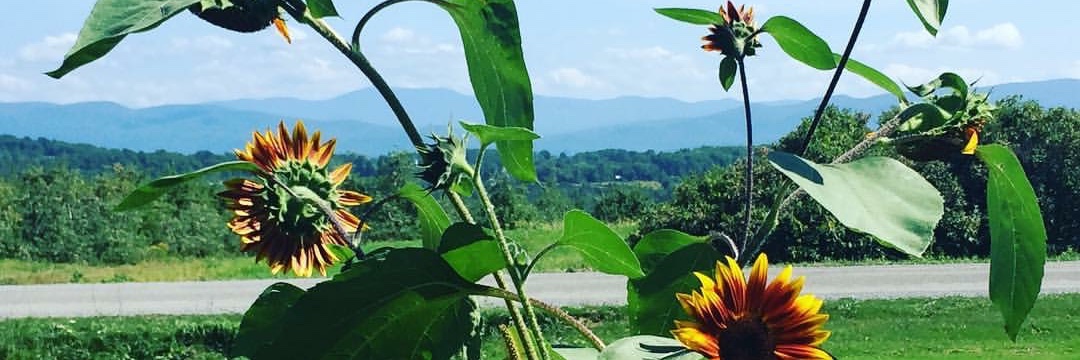 Laura Leonard, MD banner