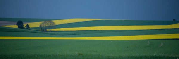 DMauffroy Profile Banner