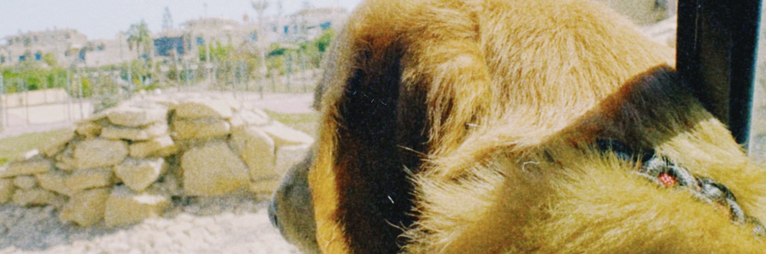 Notnourallah's profile banner image